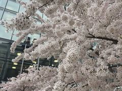 -维多利亚火车站