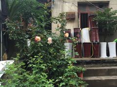-金陵花卉交易市场