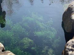 -草包包子铺(宽厚里店)