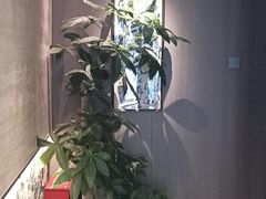 -单家老院·院子里的青岛菜(沙子口店)