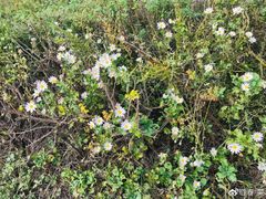 -艾山风景名胜区