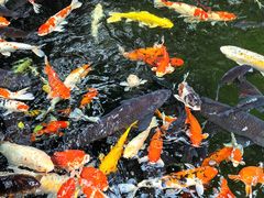-新世纪大酒楼·30年南海菜