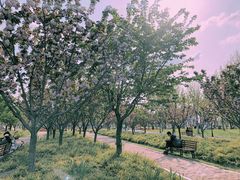 -上海山野camping·户外天幕烧烤·团建拓展营地