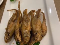 -一品粤珍轩(吴中路店)