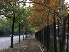 -中国浦东干部学院