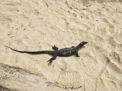 -东姑阿都拉曼海洋公园