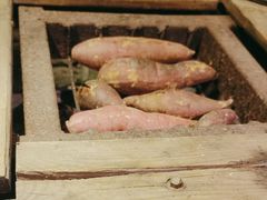 -野蔓果·山野菜(西湖景区·龙井茶田店)