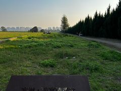 -汉长安城未央宫国家考古遗址公园