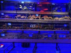 -青蓬蒸汽海鲜·深圳老字号·团建聚会(壹方城店)