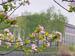 -西山漾湿地公园