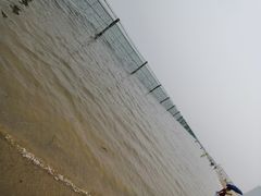 -碧海金沙