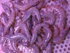 海鲜虾-生鲜便民超市(蚌埠店)