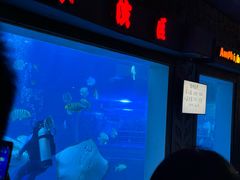 -太平洋海底世界