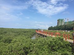 -北海金海湾红树林生态旅游区