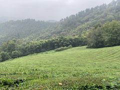 -敬亭山风景名胜区