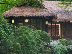 -中国茶叶博物馆(双峰馆区)