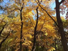 -长春市南湖公园