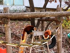 -大连森林动物园