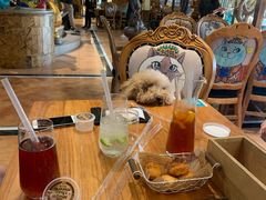 大堂-more than meow吴止猫主题餐厅(承德 中船汇店)