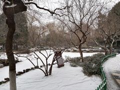 -宣武艺园