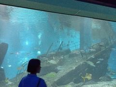 -福州罗源湾海洋世界旅游区