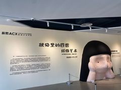 -辰熙ACX星海艺术中心