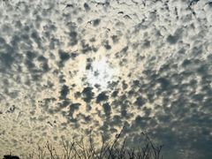 -金鸡山公园