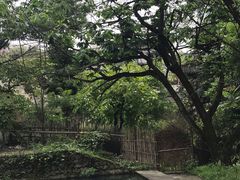 -塔川景区