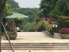 -昆山城市生态森林公园