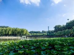 -中国农业博物馆