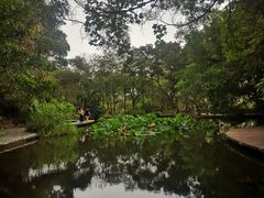 -燕晗山郊野公园