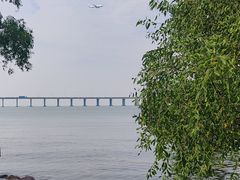 -宝安西湾红树林湿地公园