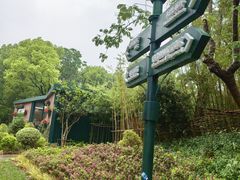 -新江湾城公园