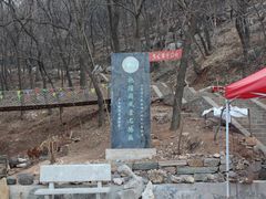 -抱犊崮国家森林公园