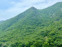 -桃花岛风景旅游区
