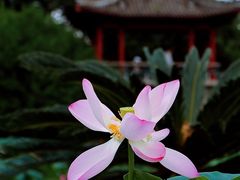 -国家植物园南园