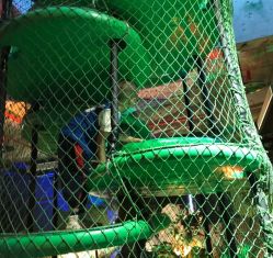 -恐龙探索乐园(磁器口店)