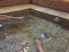 -中家鑫园温泉酒店鑫悦汤泉