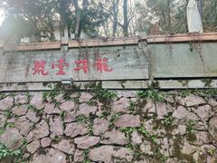 -龙井壹号·茶缘山景宴(龙井村店)