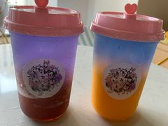 -Husky Go! 哈士奇体验馆·宠物咖啡厅狗咖