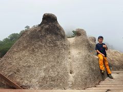 -大岭沟猕猴桃谷风景区