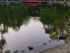 -玲珑塔公园