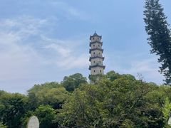-江心屿景区