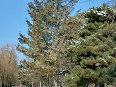 -长春市南湖公园