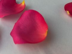 -情书·中餐厅(长嘉汇店)