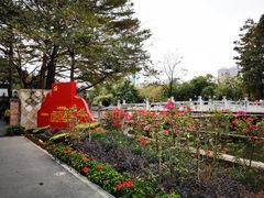 -晓港公园