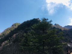-陕西省红河谷森林公园