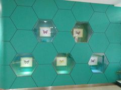 -上海昆虫博物馆