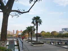 -白塘生态植物园