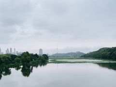 -月湖风景区